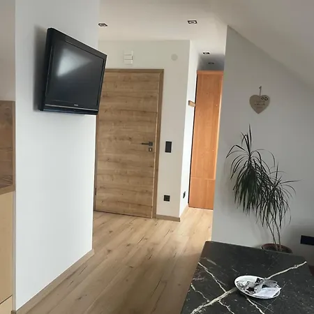 Renovierte Mit 2 Schlafzimmern Und Schlafcouch 아파트 *